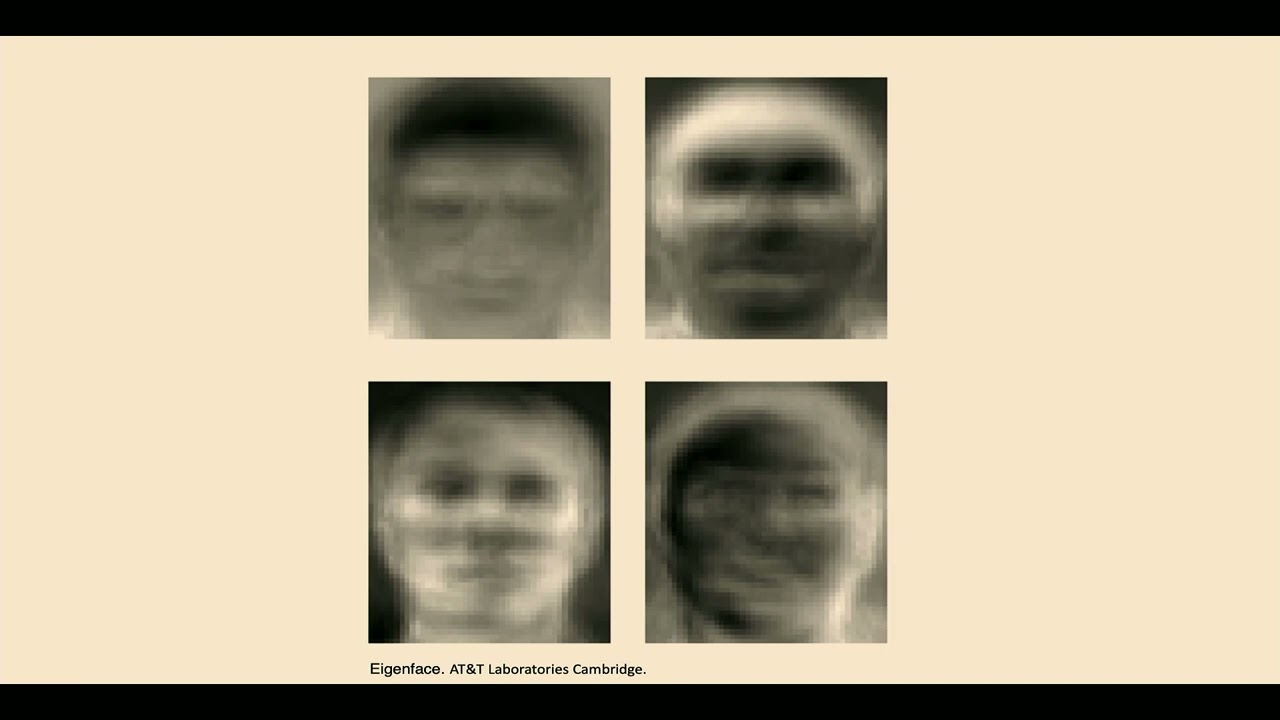 A Portrait of Facial Recognition: Critical Visualities of Statistics and the Face, Lila Lee-Morrison