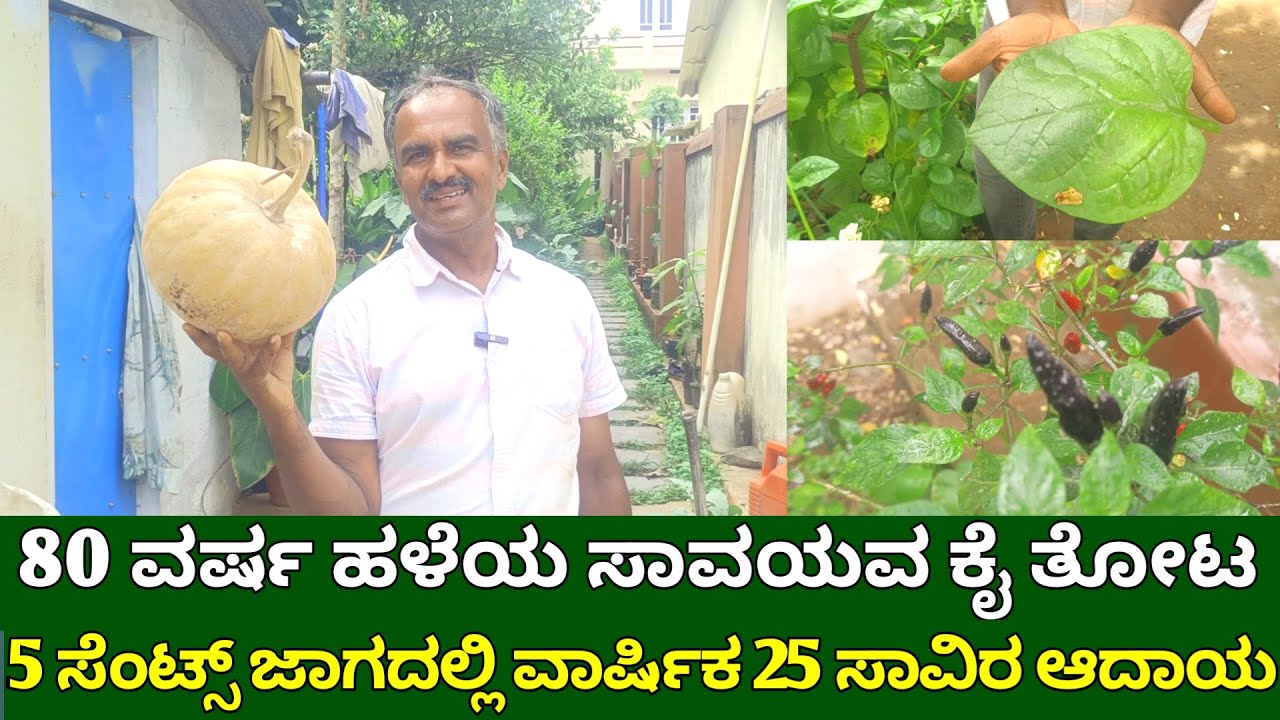 80 ವರ್ಷ ಹಳೆಯ ಸಾವಯವ ಕೈ ತೋಟ | ಹಿತ್ತಲ ತೋಟ | home gardening in kannada | kichen garden | garden tour