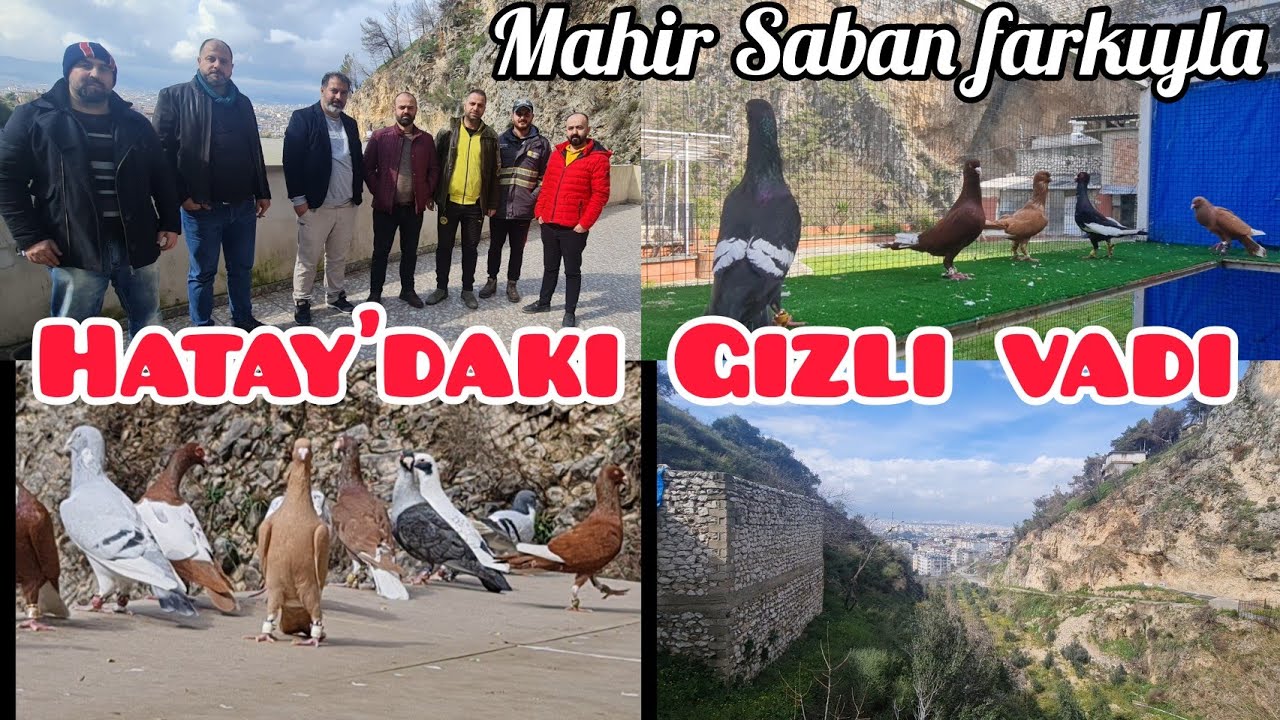 Hatay'daki gizli kalmış vadi ve dillere destan Kümes#aksoyfiloelvanguvercinleri
