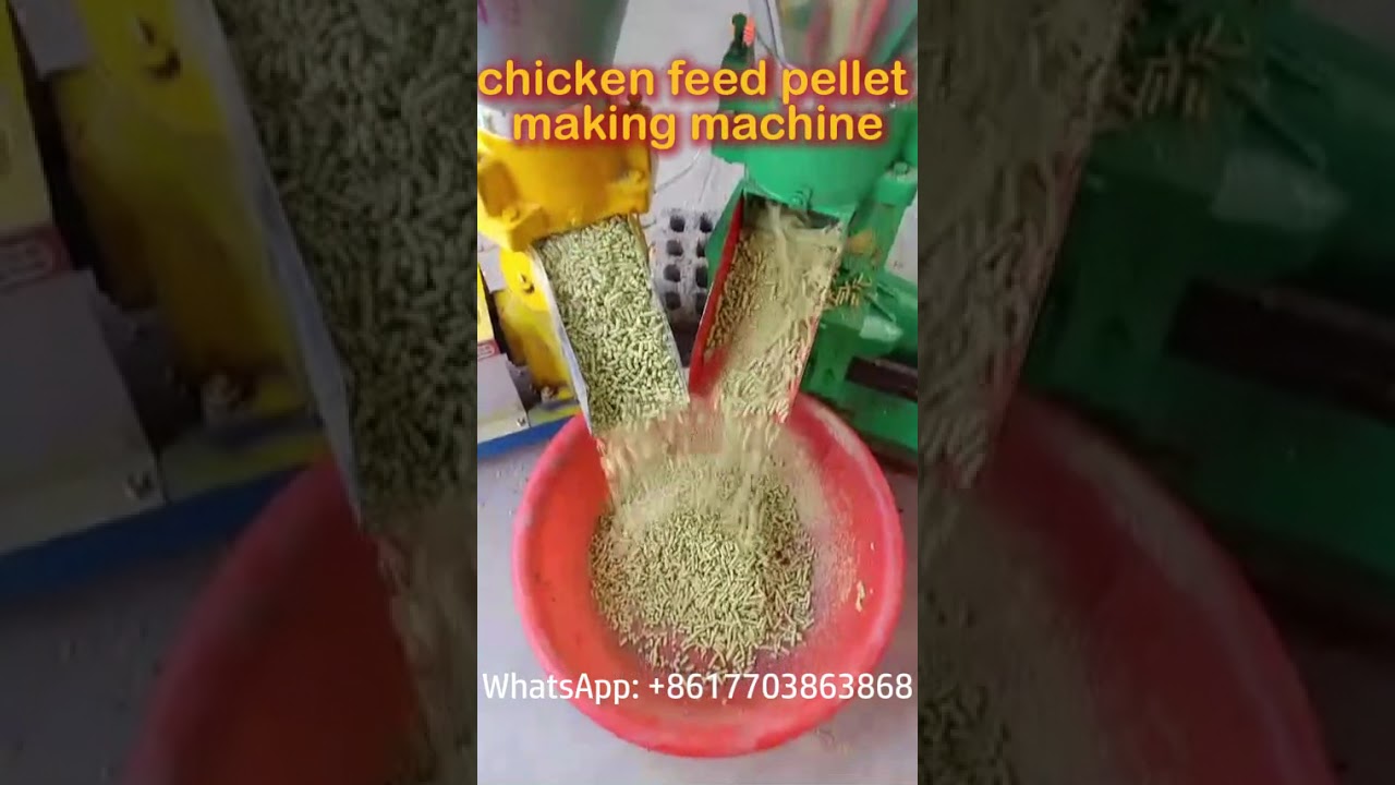 Chicken feed pellet making machine, making poultry food pellets by yourself! 