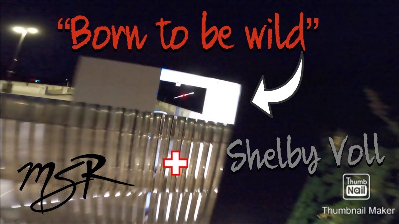 &ldquo;Born to be wild&rdquo; Shelby Voll urban destruction 🤘