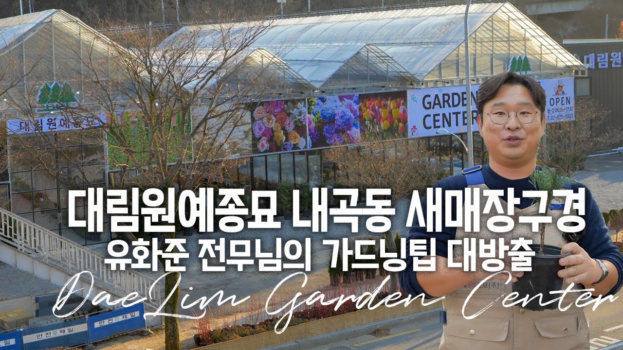 대림원예종묘 내곡동 새매장구경! 유화준 전무님의 가드닝팁 대방출  💝 댓글이벤트 마감됐습니다! 감사합니다