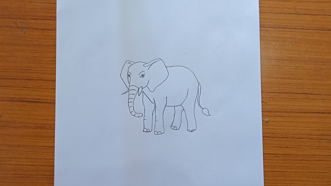 Elephant drawing 🐘🐘🐘🐘#viral #drawing 