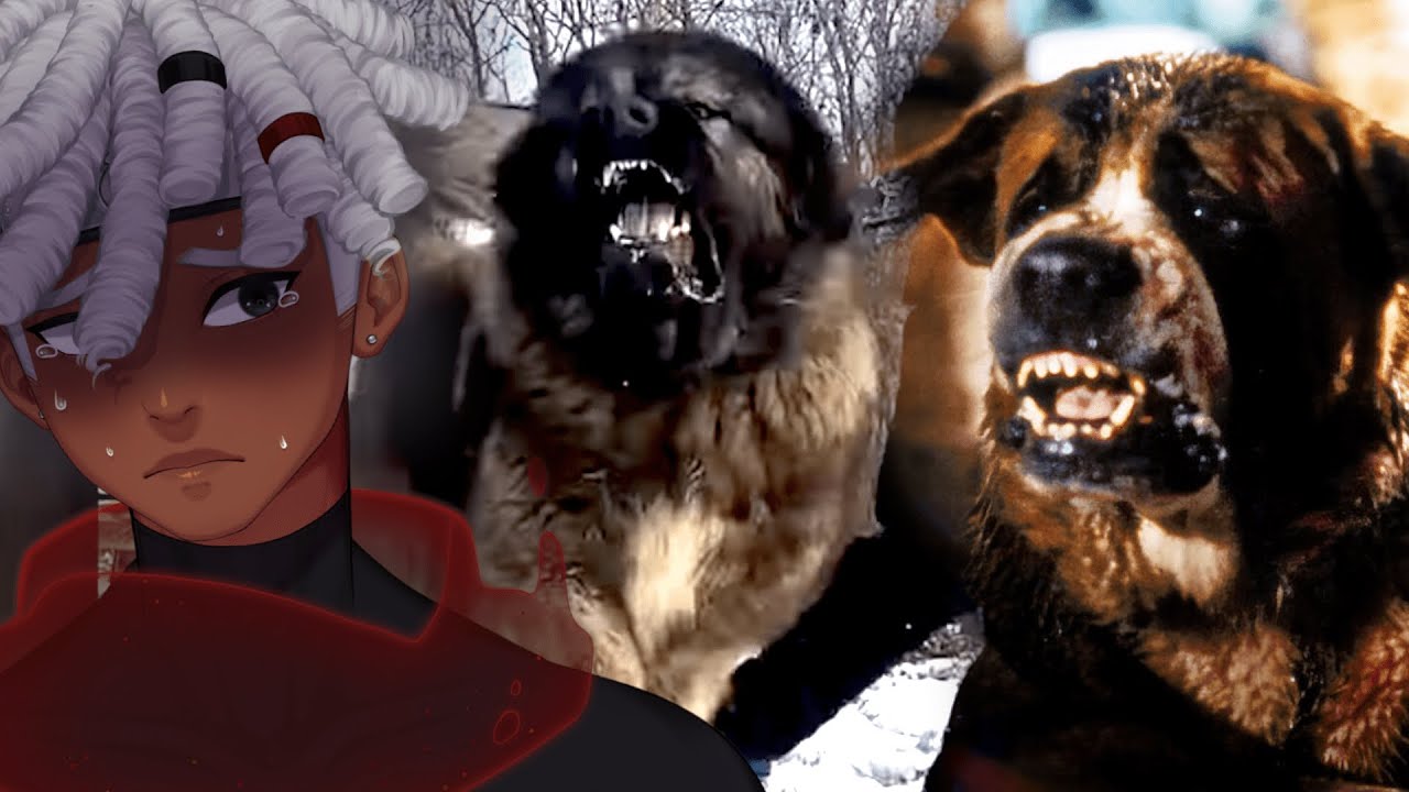 These Dogs Will Jack You UP... | Kishin Reacts to Casual Geographic