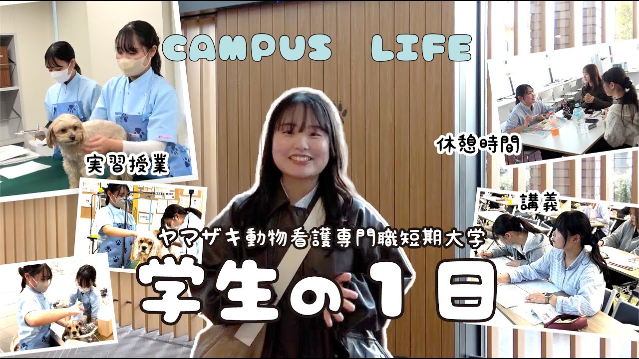 【#愛玩動物看護師】キャンパスライフ紹介Ⅱ～ヤマ短生の一日～ #動物看護 #グルーミング #ドッグトレーニング