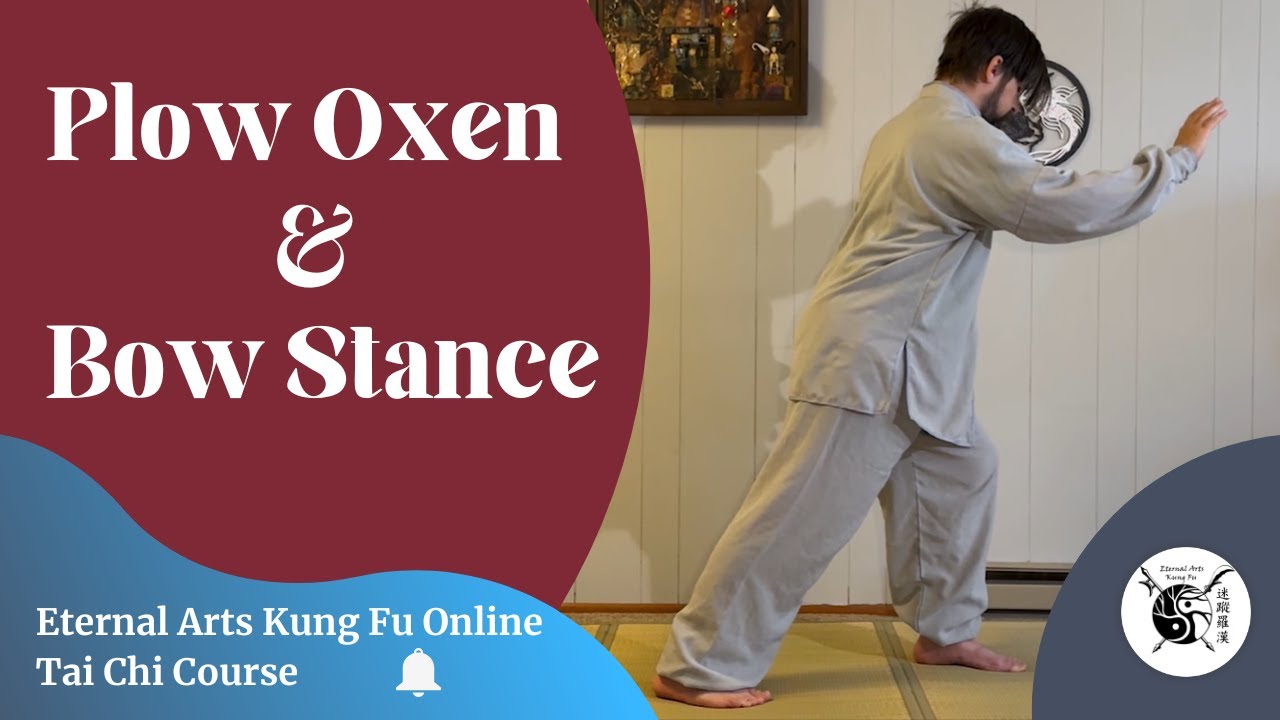 Tai Chi Expert Reveals Plow Oxen (Bow Stance) Secrets for Beginners | Wu Style Tai Chi