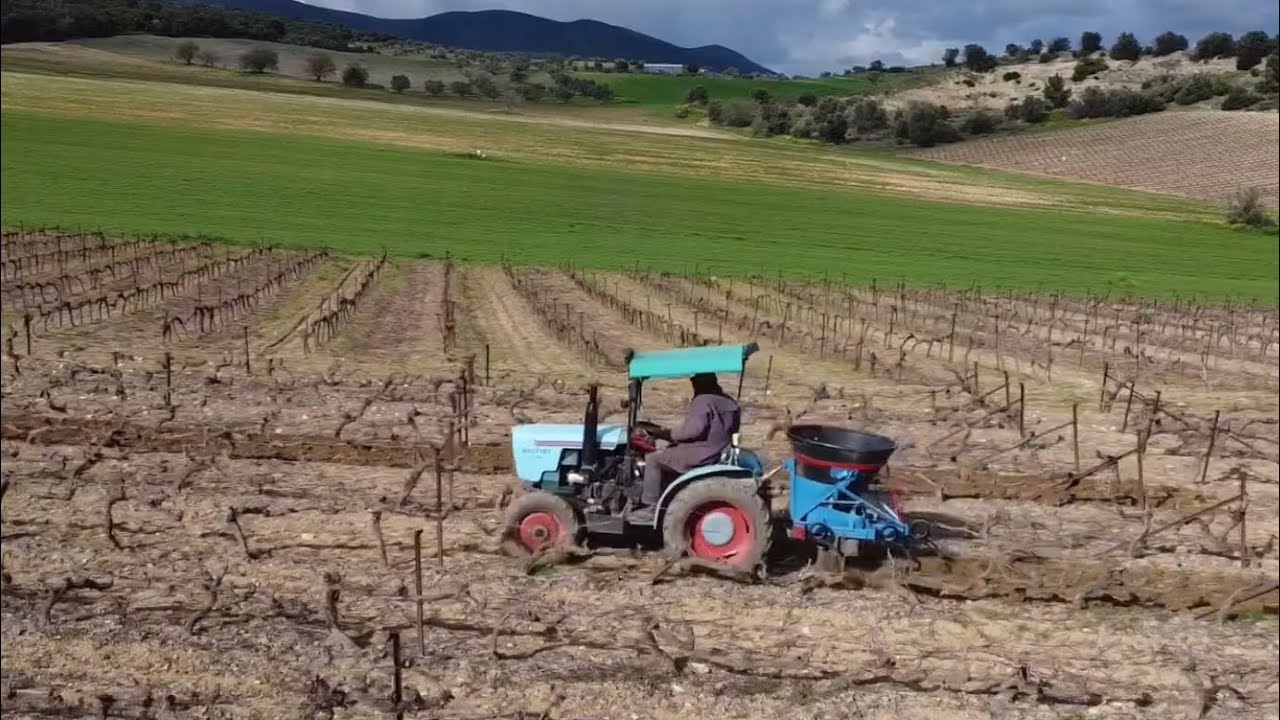 Eicher 3706 tractor | fertilize and cover | vineyard machinery