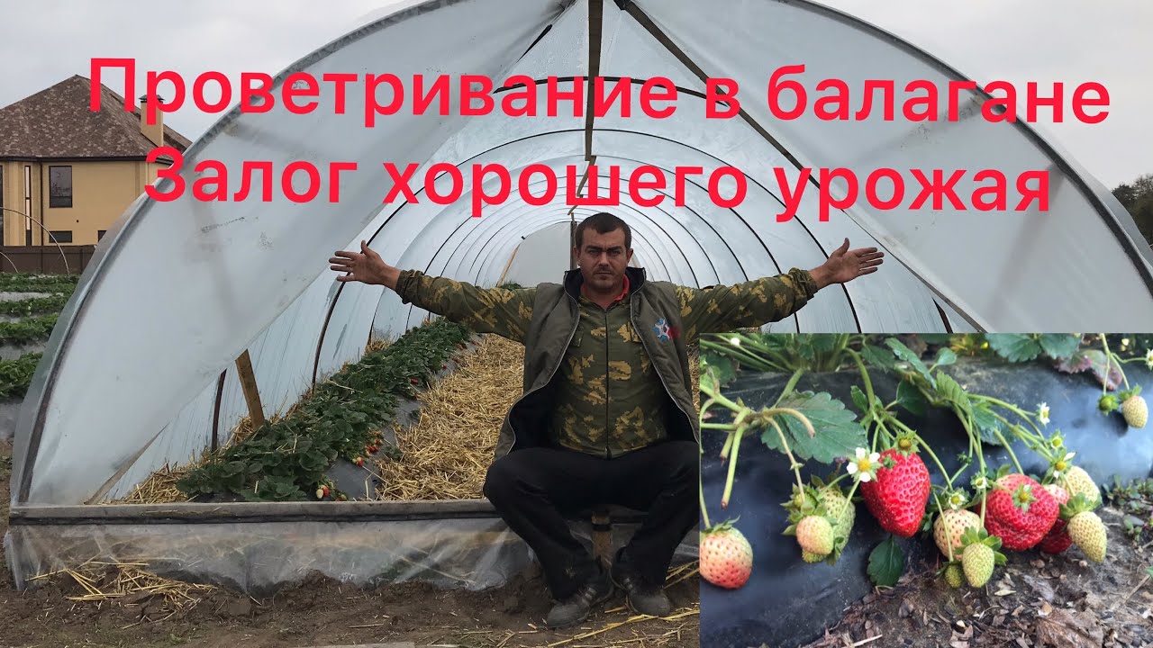 ТАКИХ ДВЕРЕЙ ВЫ ЕЩЁ НЕ ВИДЕЛИ.ДВЕРИ ДЛЯ БАЛАГАНА (туннель, парник).