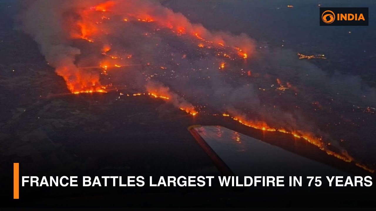 France Battles Largest Wildfire in 75 Years | Latest Updates | DD India Live