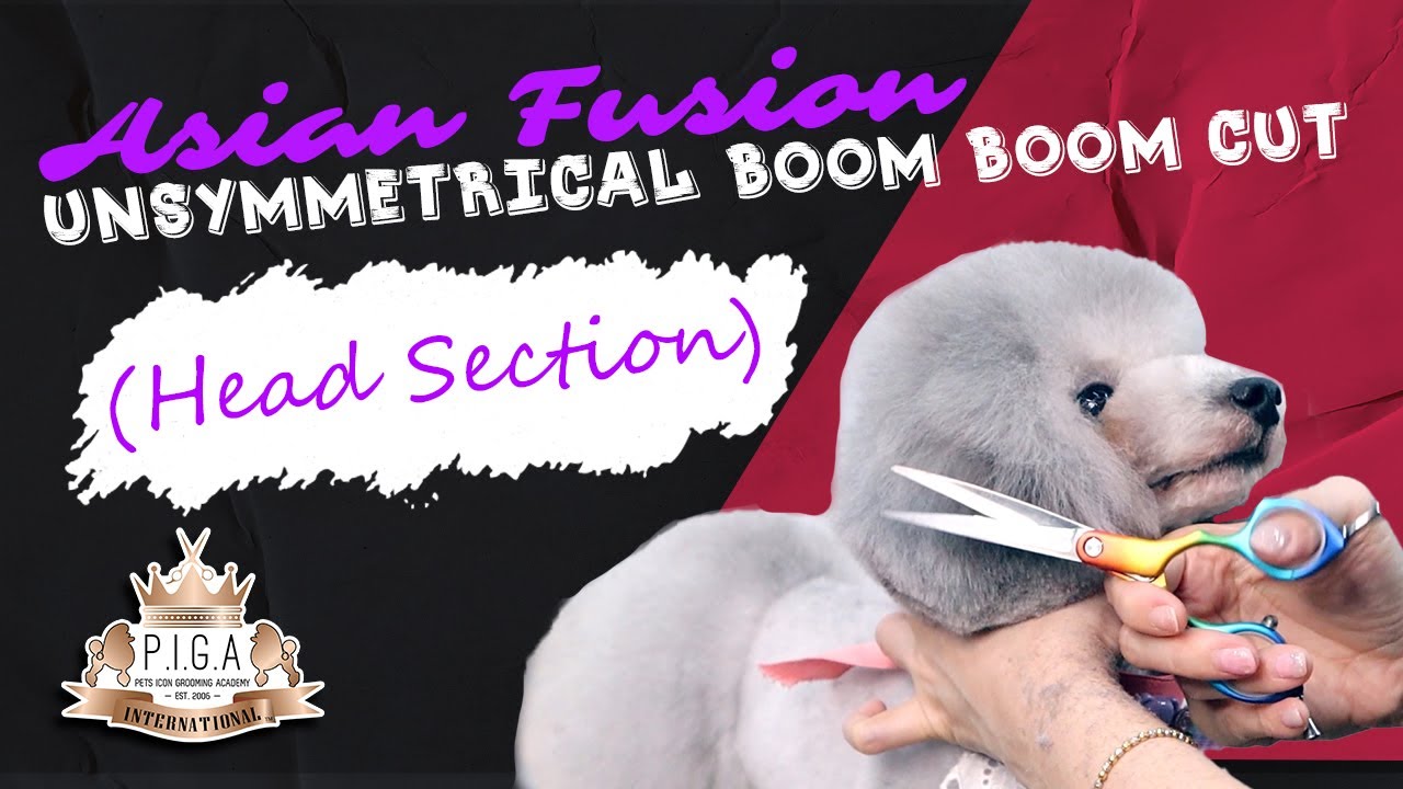 Asian Fusion Unsymmetrical Boom Boom Cut (Head Section)