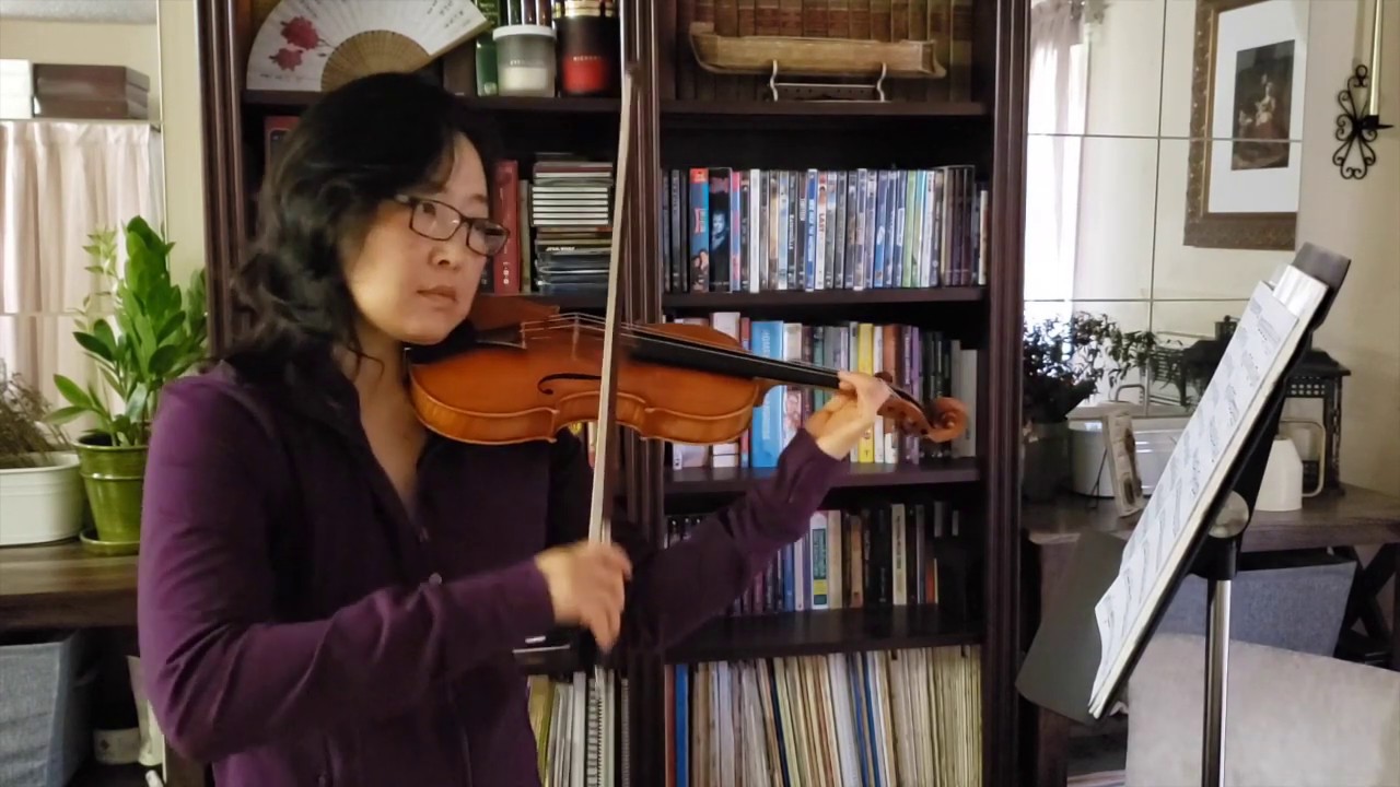 Millionaire's Hoedown by H. Clebanoff for violin - Solos for Young Violinists Vol. 2