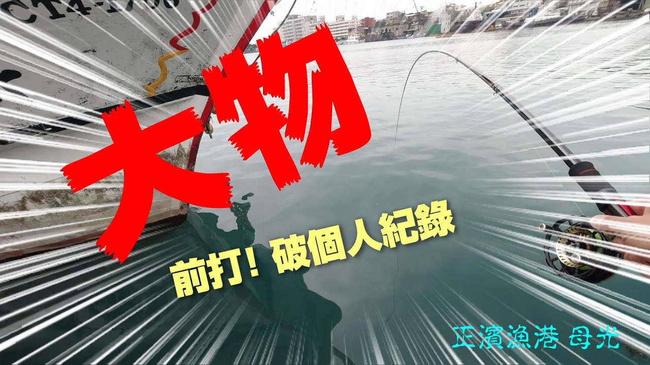 正濱漁港母光前打破紀錄(大軟絲)