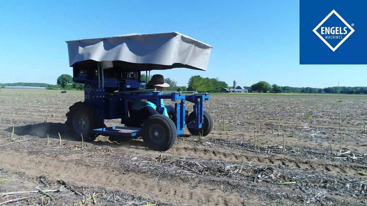 Asparagus Harvester - ASVerde