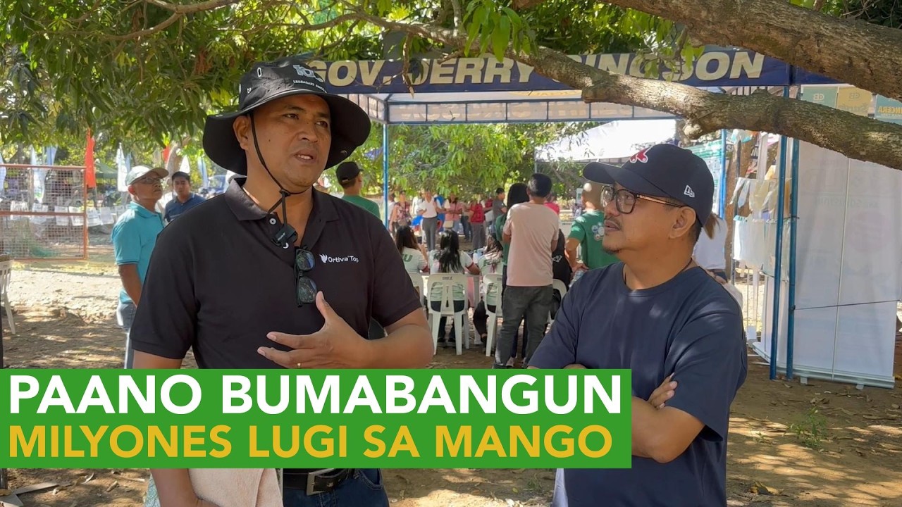 Kilalanin si Mango King: Pinakamalaking Mango Grower, Contractor, Trader at Processor narin!