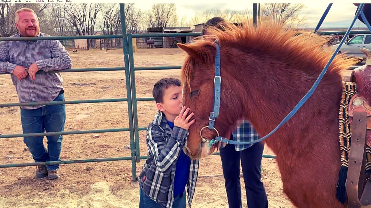 NEGLECTED PONIES JOURNEY to new HOME