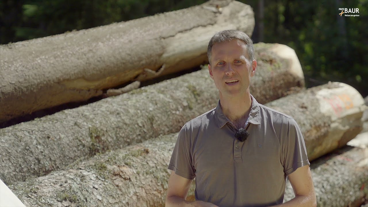 Heimische Holzarten des Schwarzwalds