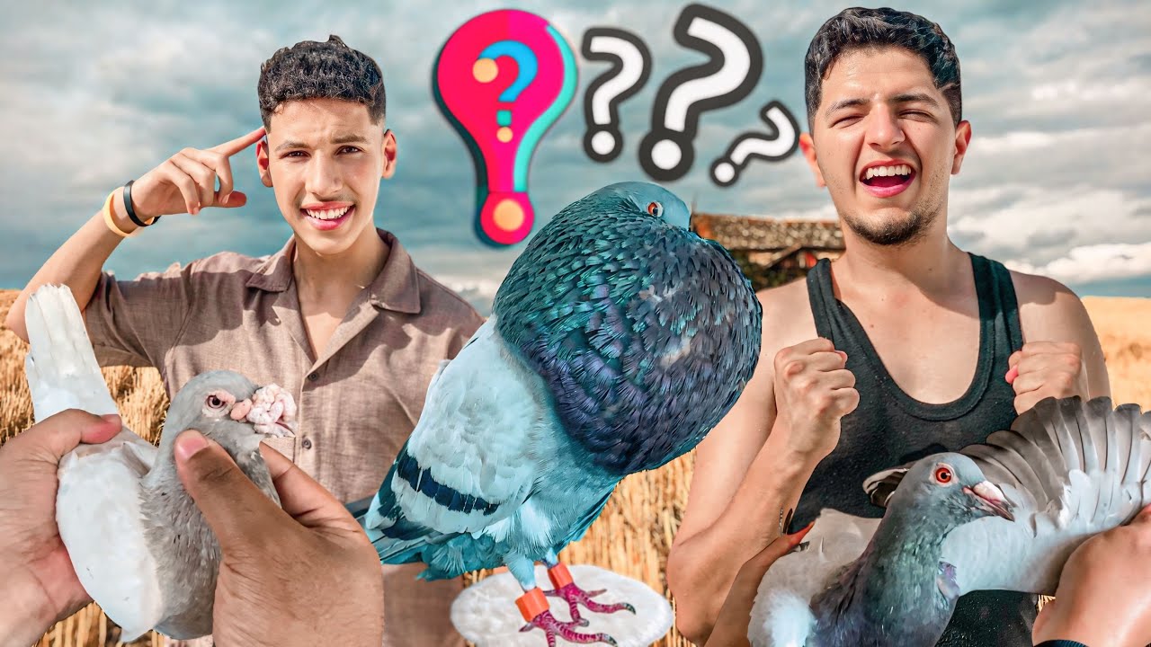 عطيت أحسن هدية لي حمام زكرياء 🔥 زريقة رجع …. 🥹