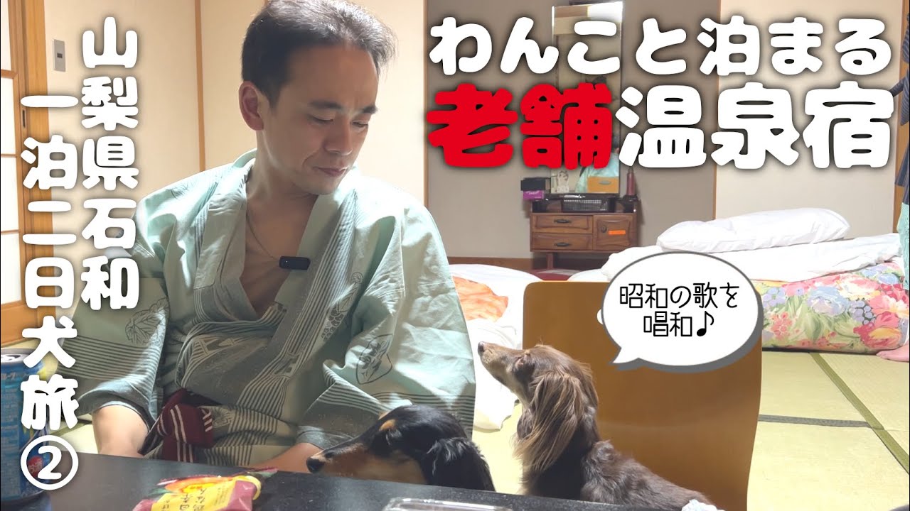 【犬連れ旅行山梨石和宿】愛犬と泊まれる宿「石和びゅーほてる」さんに宿泊👜昭和の残り香りに胸いっぱい!1泊2日わんこ旅2/3 2023.4