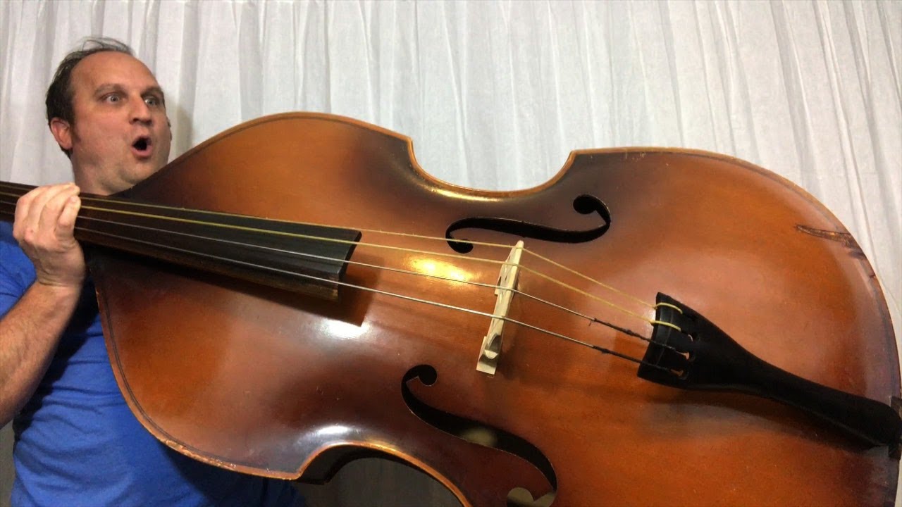 Double Bass Repair
