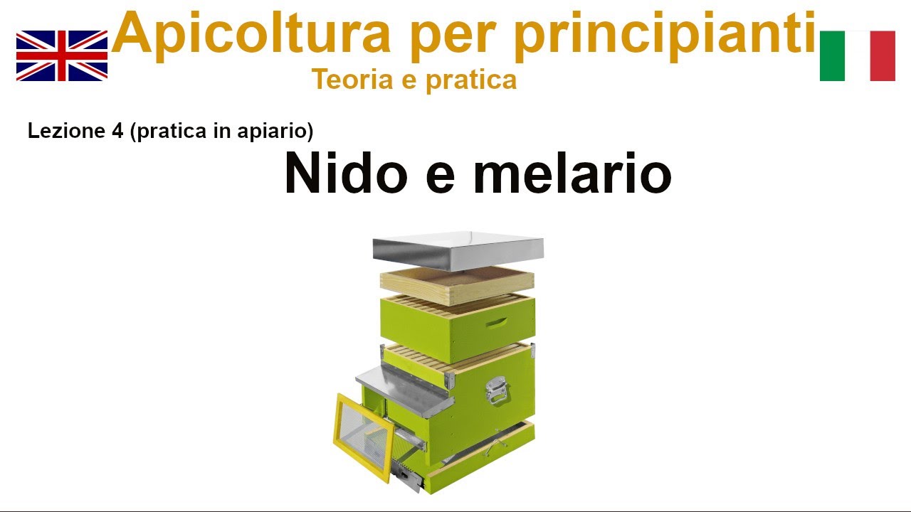 Lezione 4. Nido e melario. Apicoltori principianti ( in apiario).