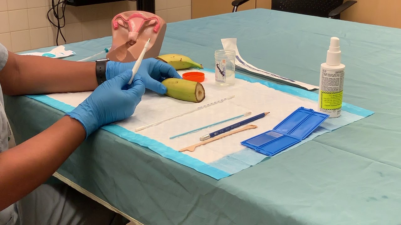 Gynecologic Procedures Vulvar Biopsy on Banana Model
