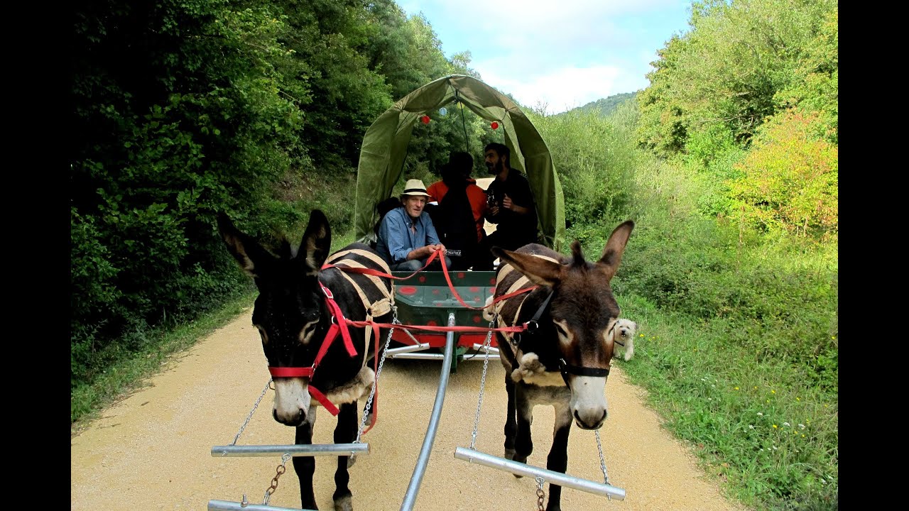 Single axle donkey cart