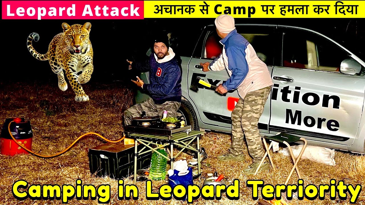 Leopard 🐆 Attack तेंदुए ने अचानक से हमला कर दिया | Camping In dense forest of india 🇮🇳 
