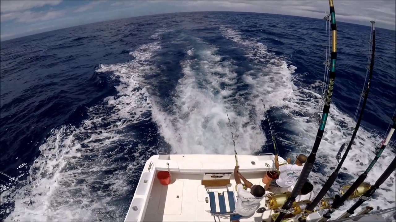 Big Game Fishing Mauritius - Maranatha - Le Morne