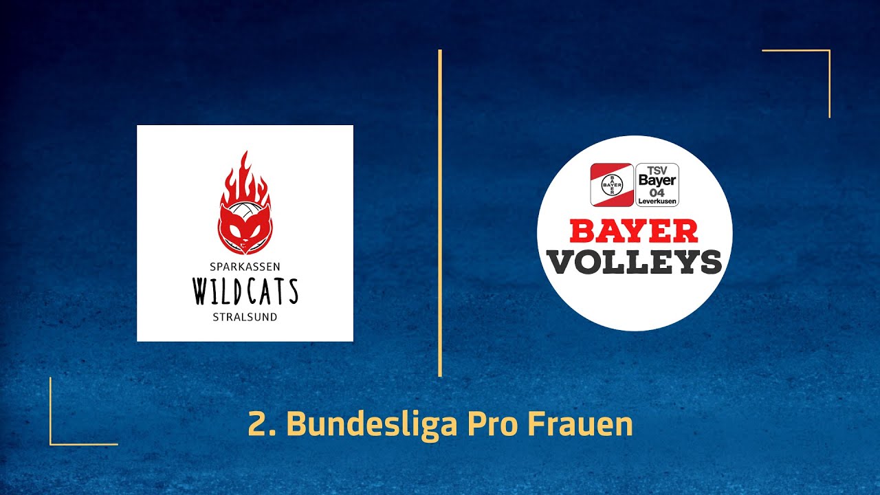 Sparkassen Wildcats Stralsund &ndash; BayerVolleys Leverkusen (2. Volleyball Bundesliga Pro F 25/26)