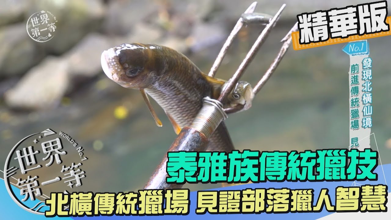 【新竹】前進泰雅族傳統獵場 見證先人智慧（自製魚槍打魚／追緝野生山羌、山豬蹤跡／臭鼬落入陷阱）｜《世界第一等》1010集精華版