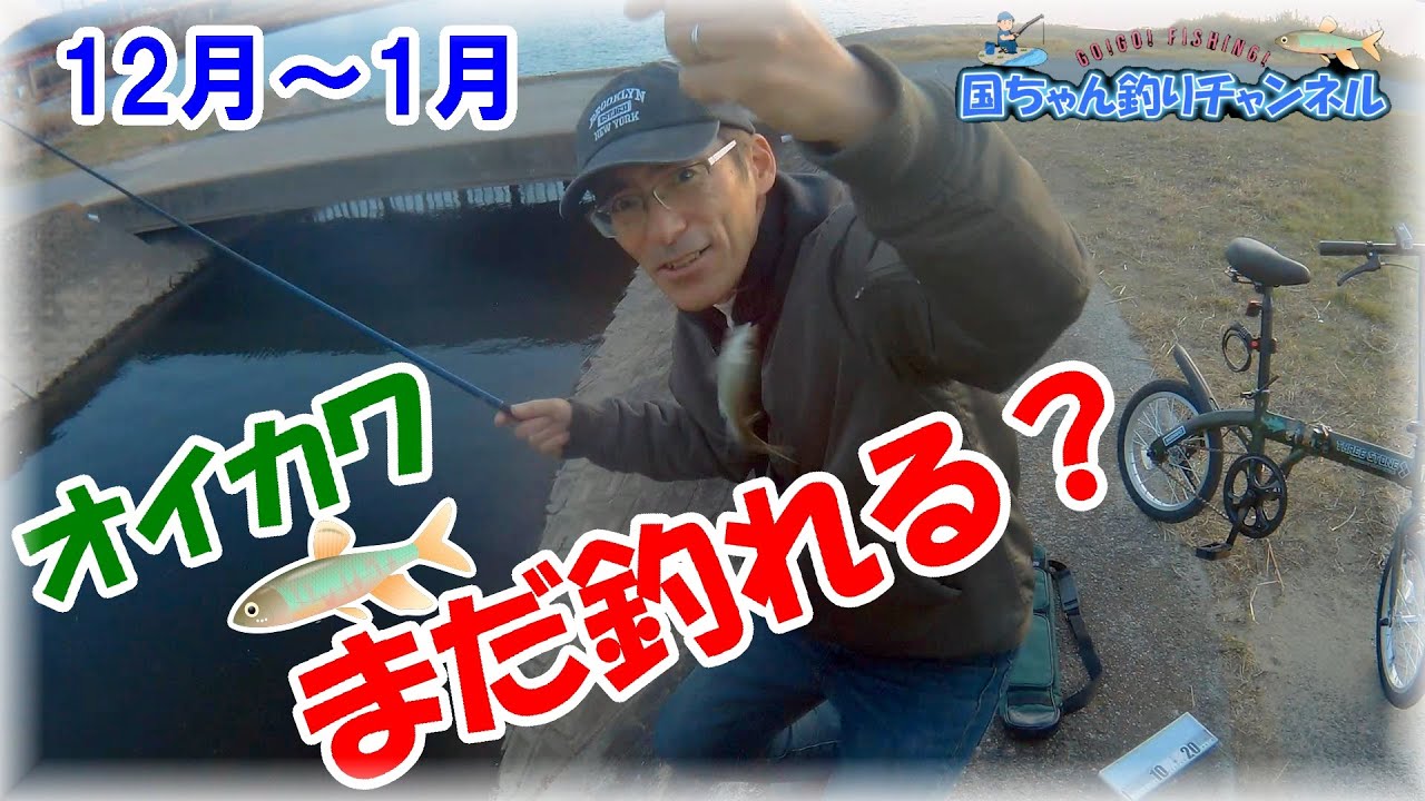 【真冬のオイカワ釣り】ヤバい！大和川のオイカワまだ釣れるの？マルキュー九ちゃんで20匹！？懐かしい仕事仲間との出会いに感動した！？釣れるポイントは緑の水門だけかもな・・・1月末がラスト？？？鯉っ子