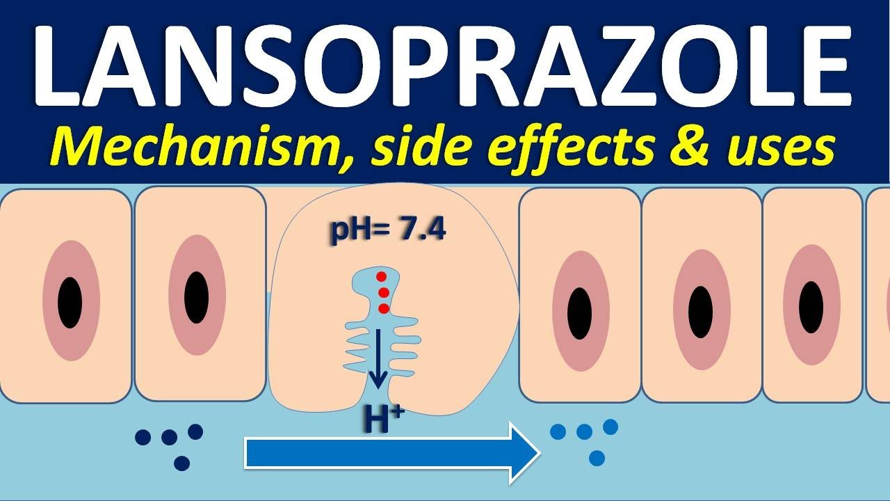 Lansoprazole - Mechanism, side effects, interactions and uses