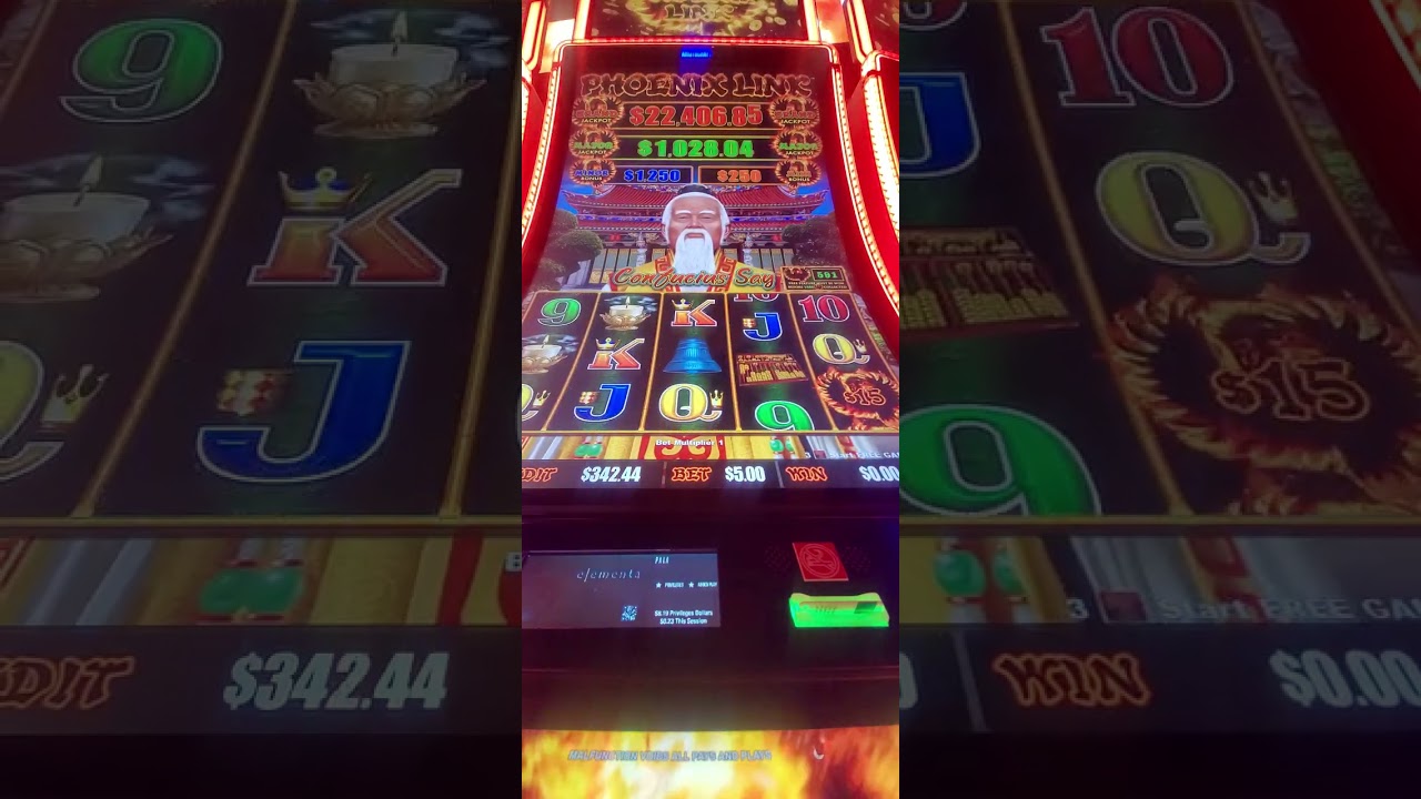 3630. Sensei Master slot 20260210 163246
