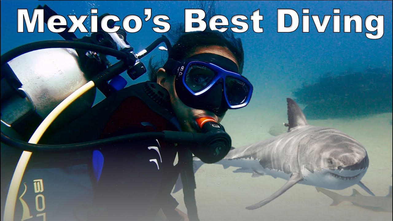Mexico's Best Dive Location