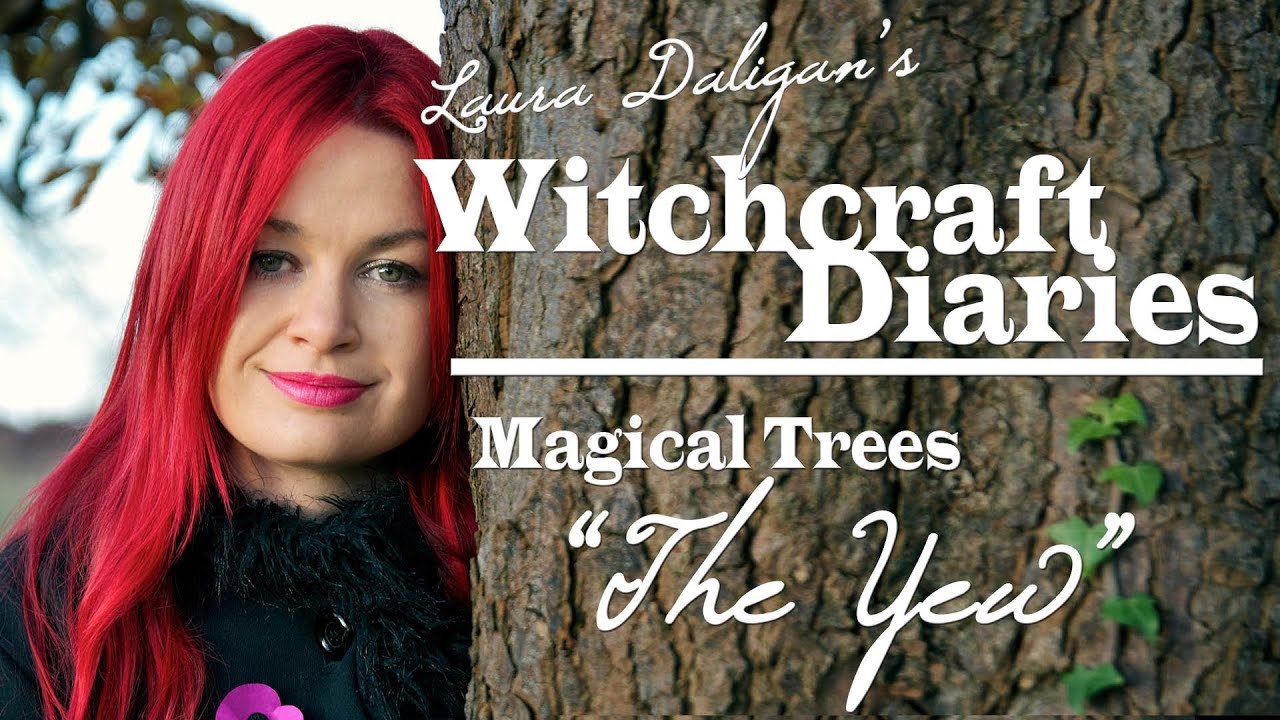 Magical Trees: The Yew (ioho)