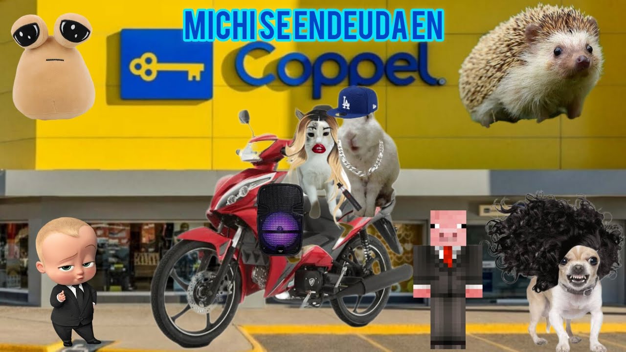 LA MICHI SE ENDEUDA EN COPPEL | PARTE 2🐈🐇
