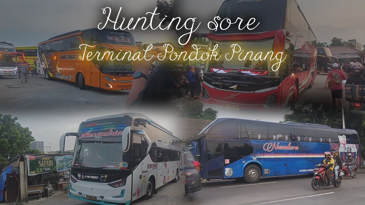 PERDANA HUNTING SORE❗❗DAPET APA AJA HARI INI ⁉️⁉️ Hunting Bus di Pondok Pinang again