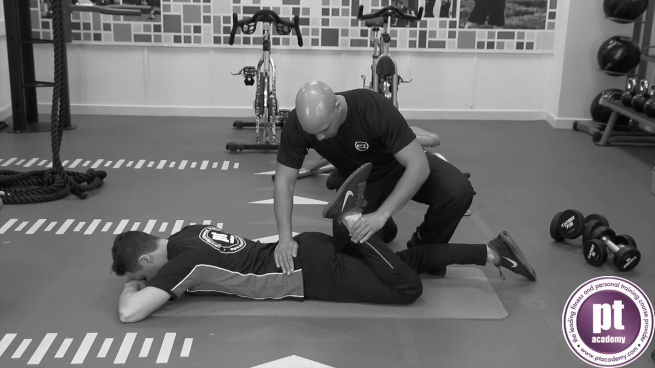 Prone Lying Quadriceps Stretch - Personal Training: Pt Academy