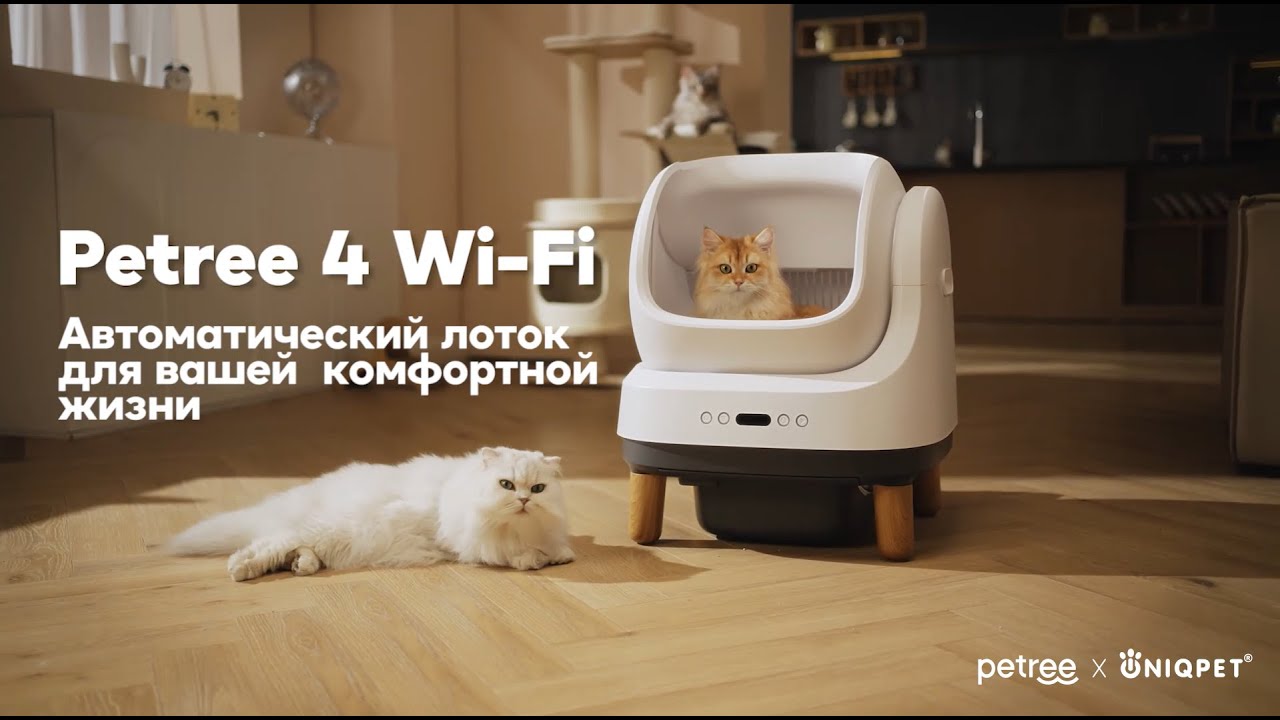Автоматический лоток Petree 4