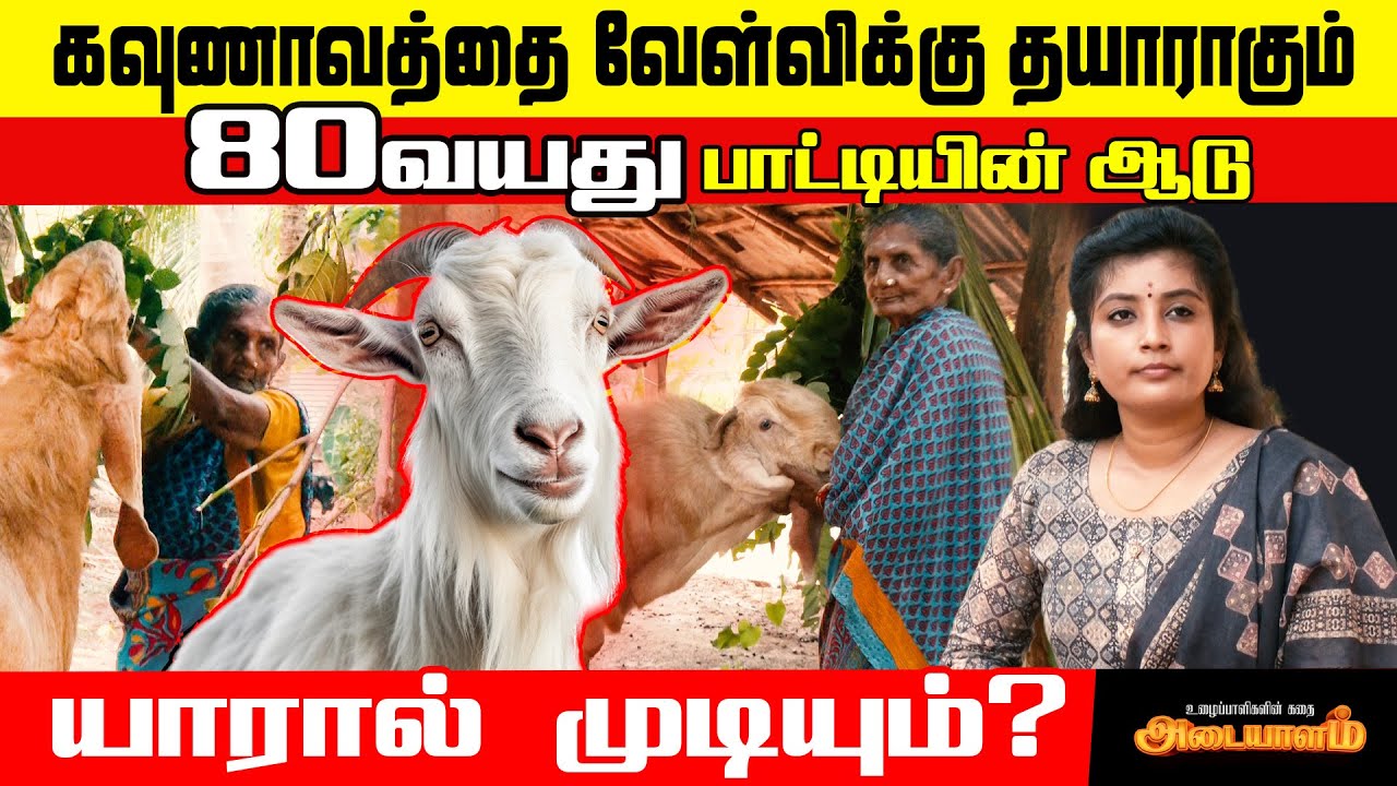 கண்ணீர் விட்டு கதறி அழுத்த 80 வயது பாட்டி!😭 | jaffna | Adaiyalam | Nomika