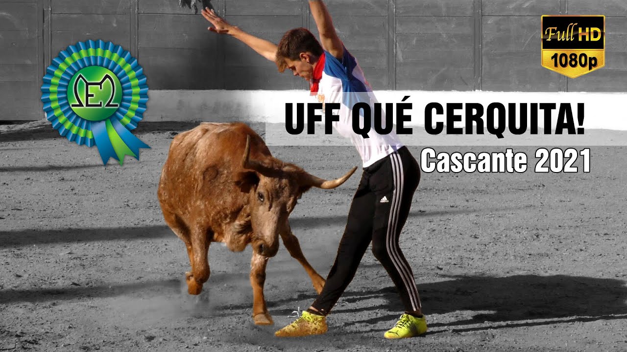 UFF QUÉ CERQUITA! Vacas en Cascante, Eulogio Mateo