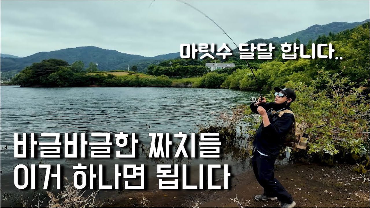 배스낚시 마릿수가 하고 싶다고요? (Feat.박성완) #배스 #배스낚시 #잇세이 #피쉬맥스