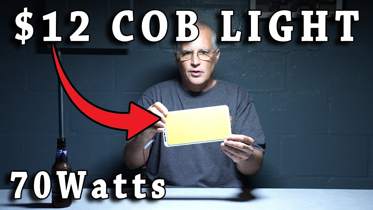 $12 Video COB Light Review 70 Watts Daylight