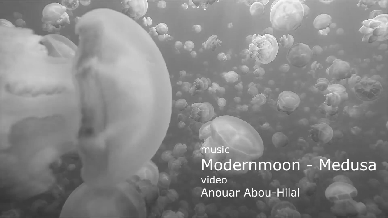 Modernmoon - Medusa