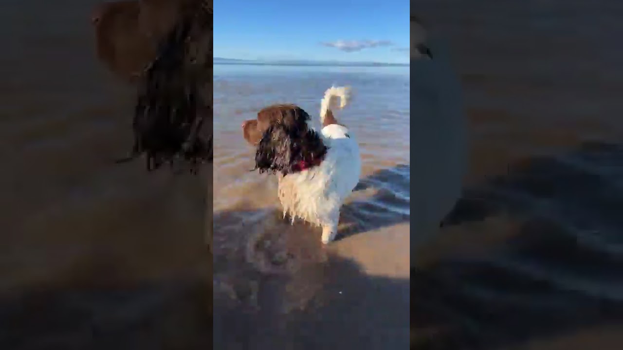 Mawbray Beach