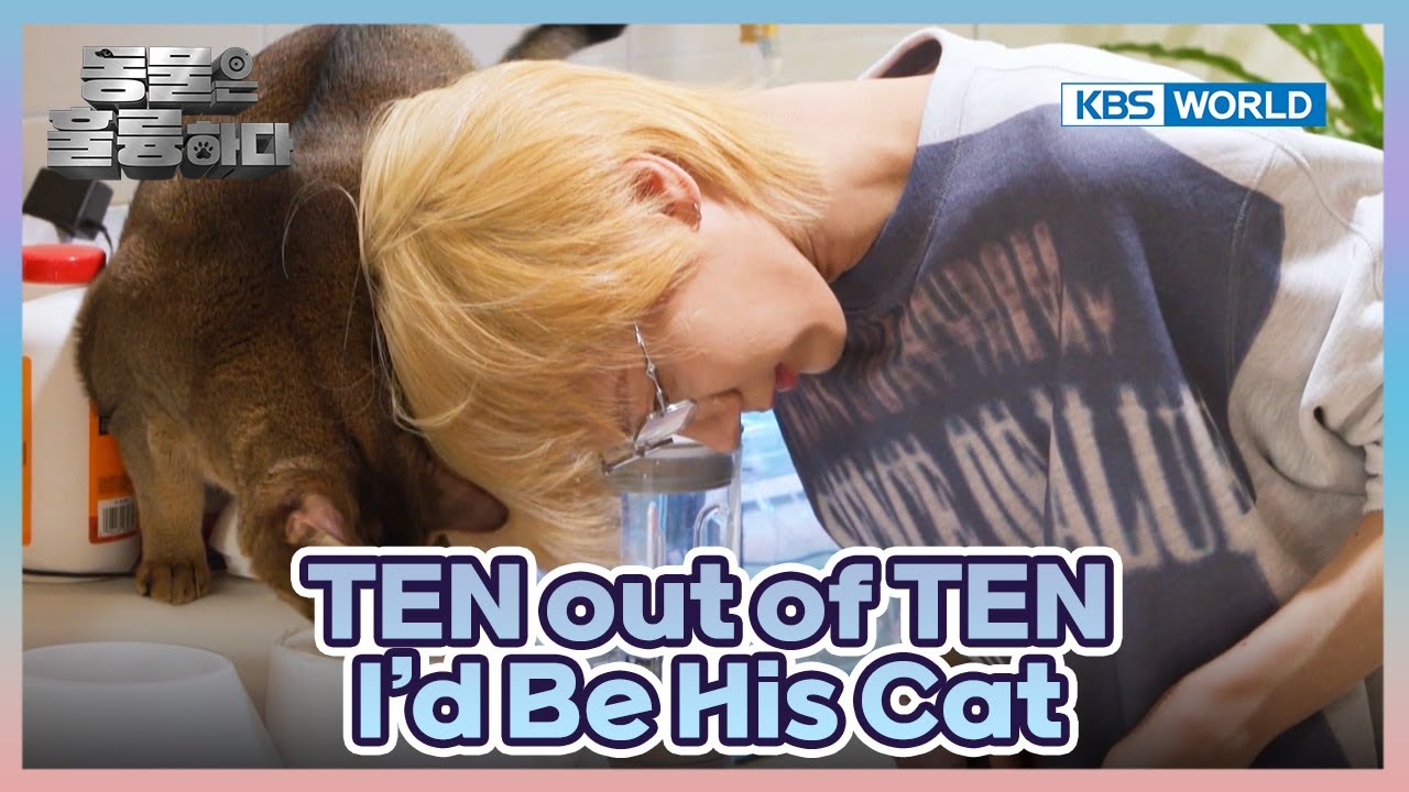 TEN Wants to be a Professional Cat Chef😋 [Animals Are Incredible : EP.16-2] | KBS WORLD TV 250416