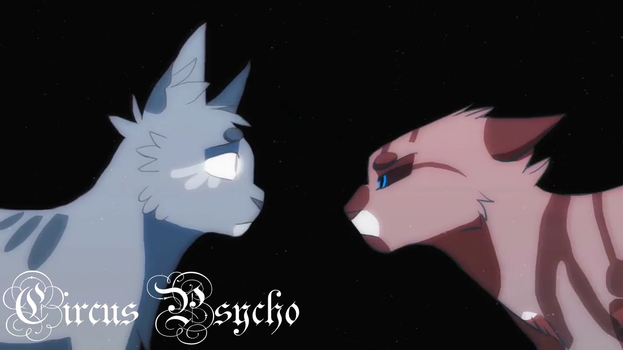 Ярко-небесная стрела | Cats Warriors| Троица