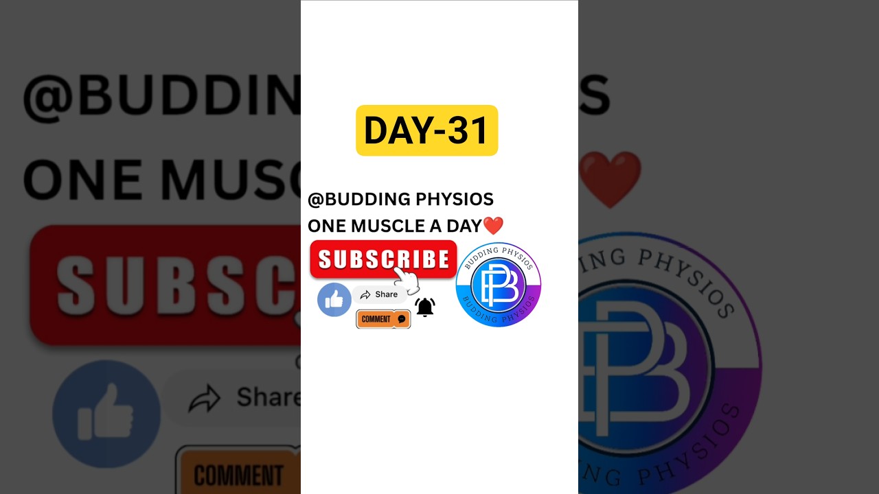 DAY-31 OF ONE MUSCLE A DAY SERIES☺️