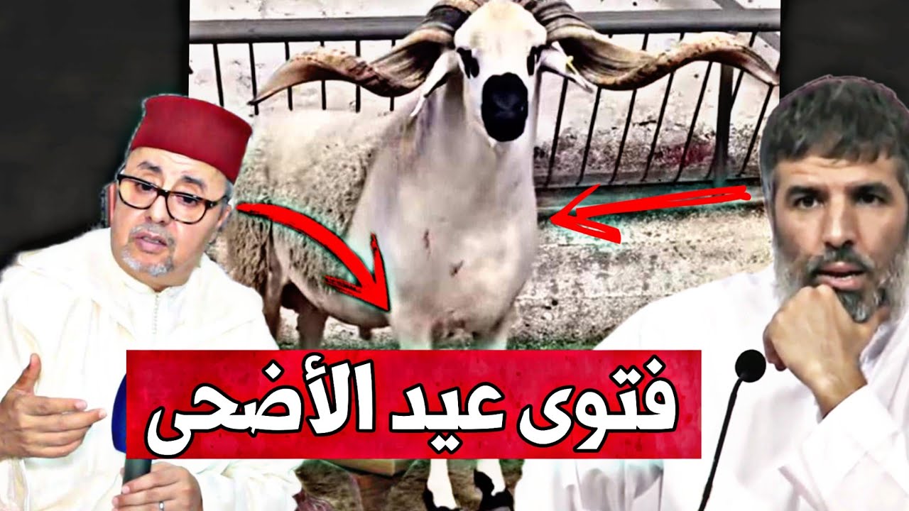 هكذا علق الشيخ رشيد نافع  على فتوى الربا !