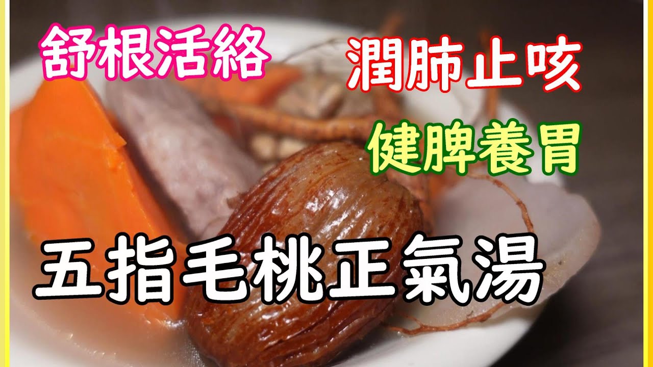 節日過後 係時候要飲返個健脾補肺🫁五指毛桃正氣湯 健脾潤肺之餘仲可以舒筋活絡